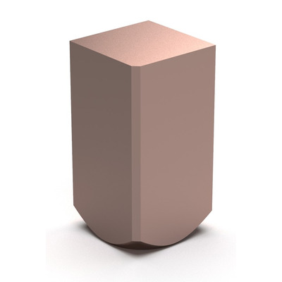 Vierkant 25 Elektrodenschaft